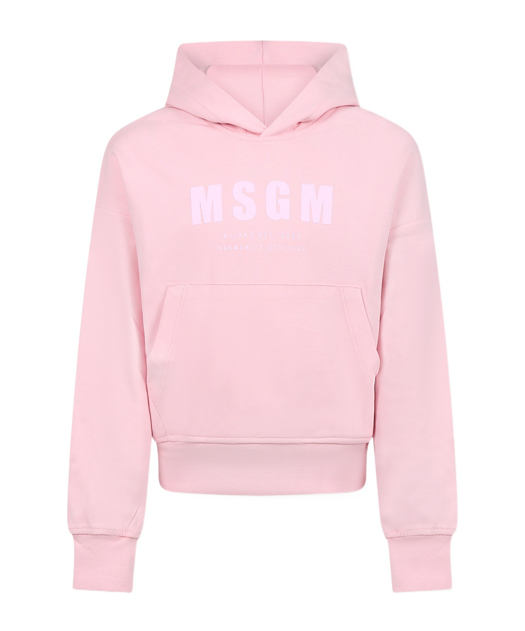 Msgm Hooded Sweater In Pink