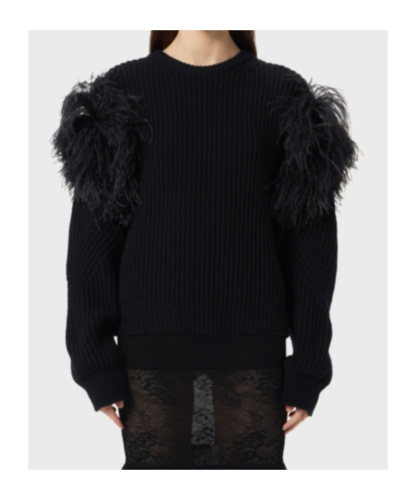 Blumarine Feather-trim Jumper In Black