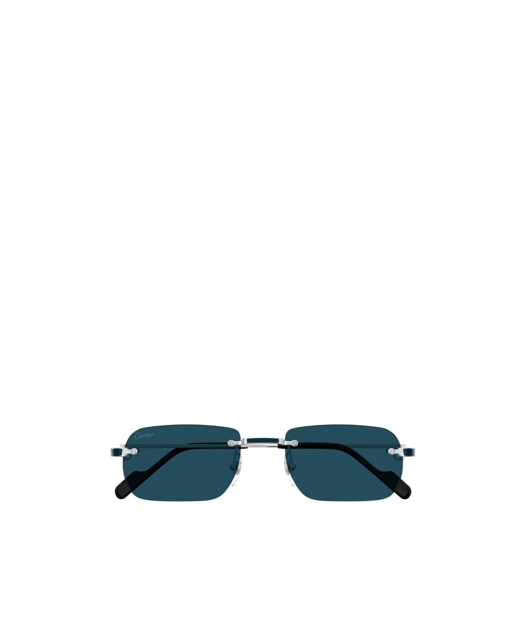 Cartier Ct0498s-004silver-silver-blue In Blue