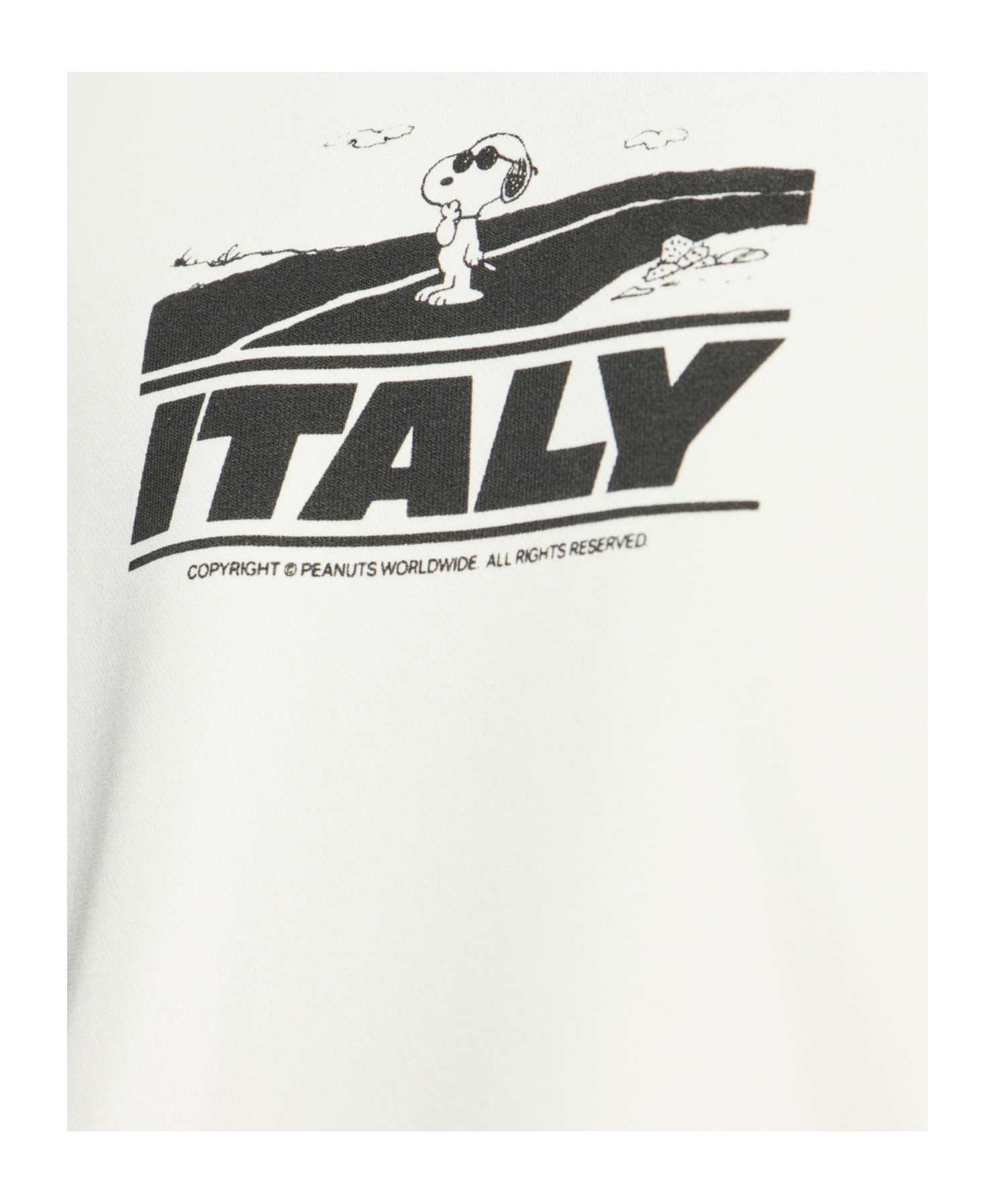 Iceberg Crew Neck Printed Sweatshirt In Neutral