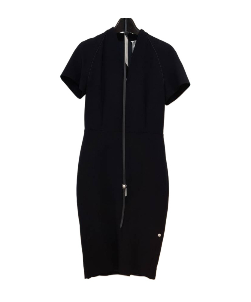 Max Mara Short Sleeve Dress In Black