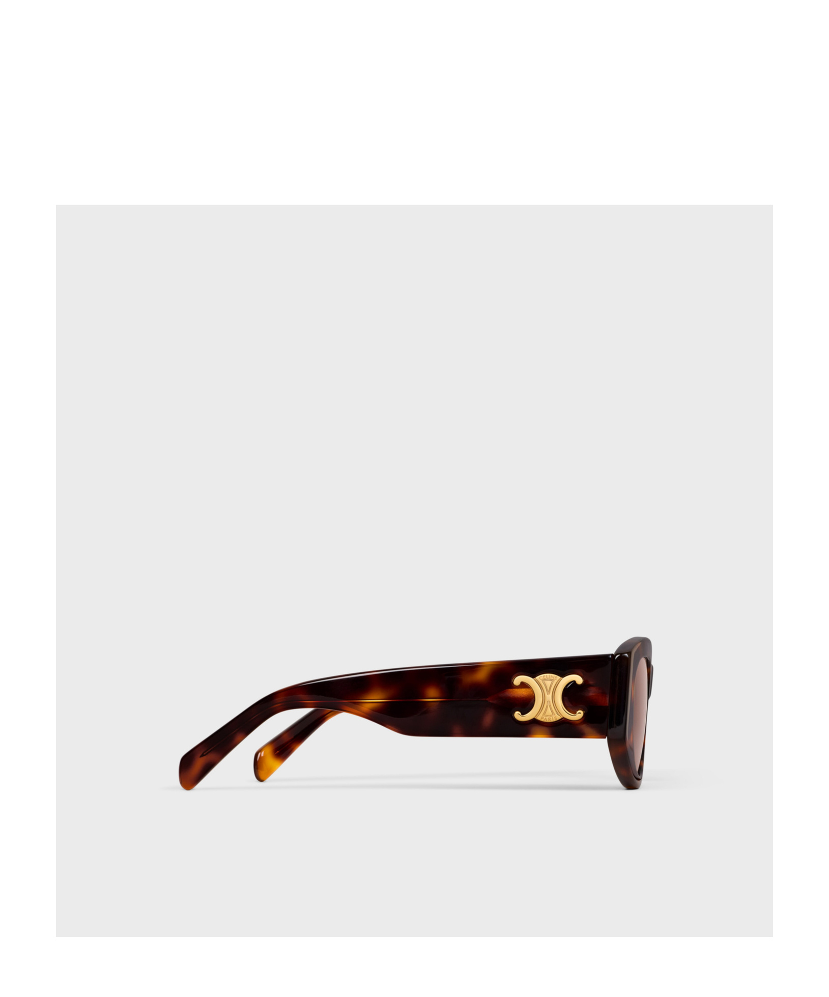 Celine Full Frame Sunglasses In Brown