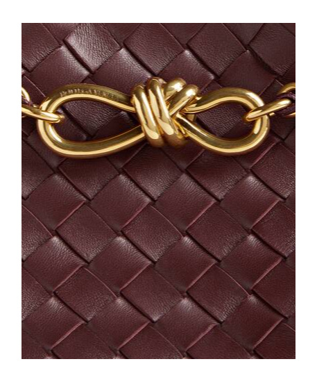 Bottega Veneta Small Andiamo Chain In Brown