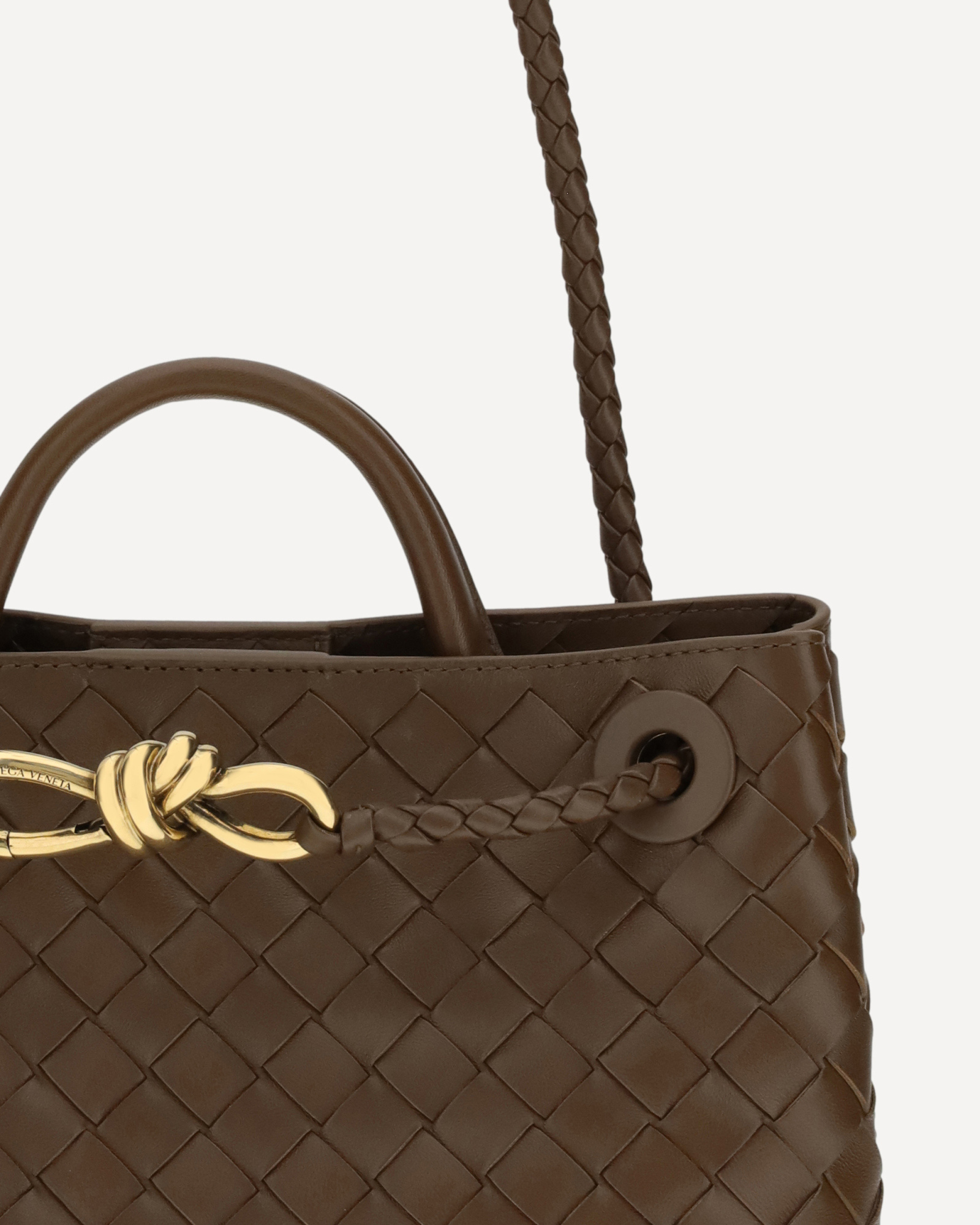 Bottega Veneta Small Andiamo In Brown