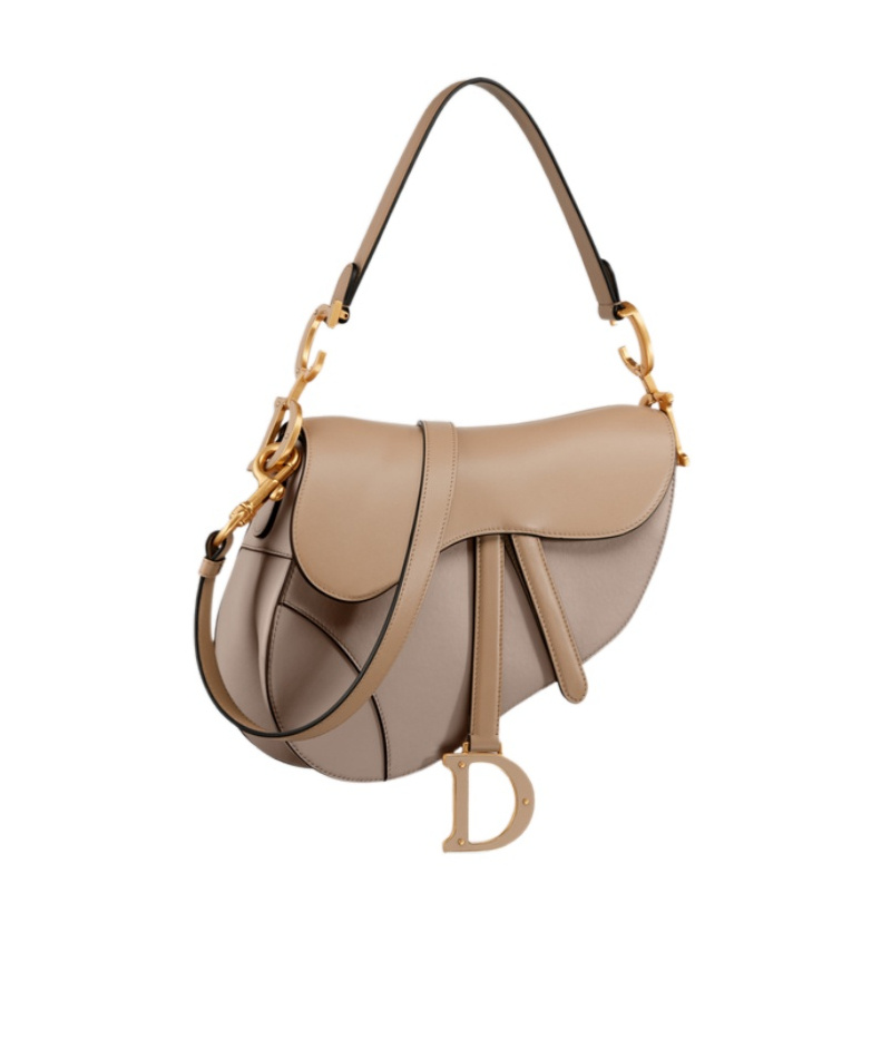 Dior Flip Saddle Shoulder Bag In Nude