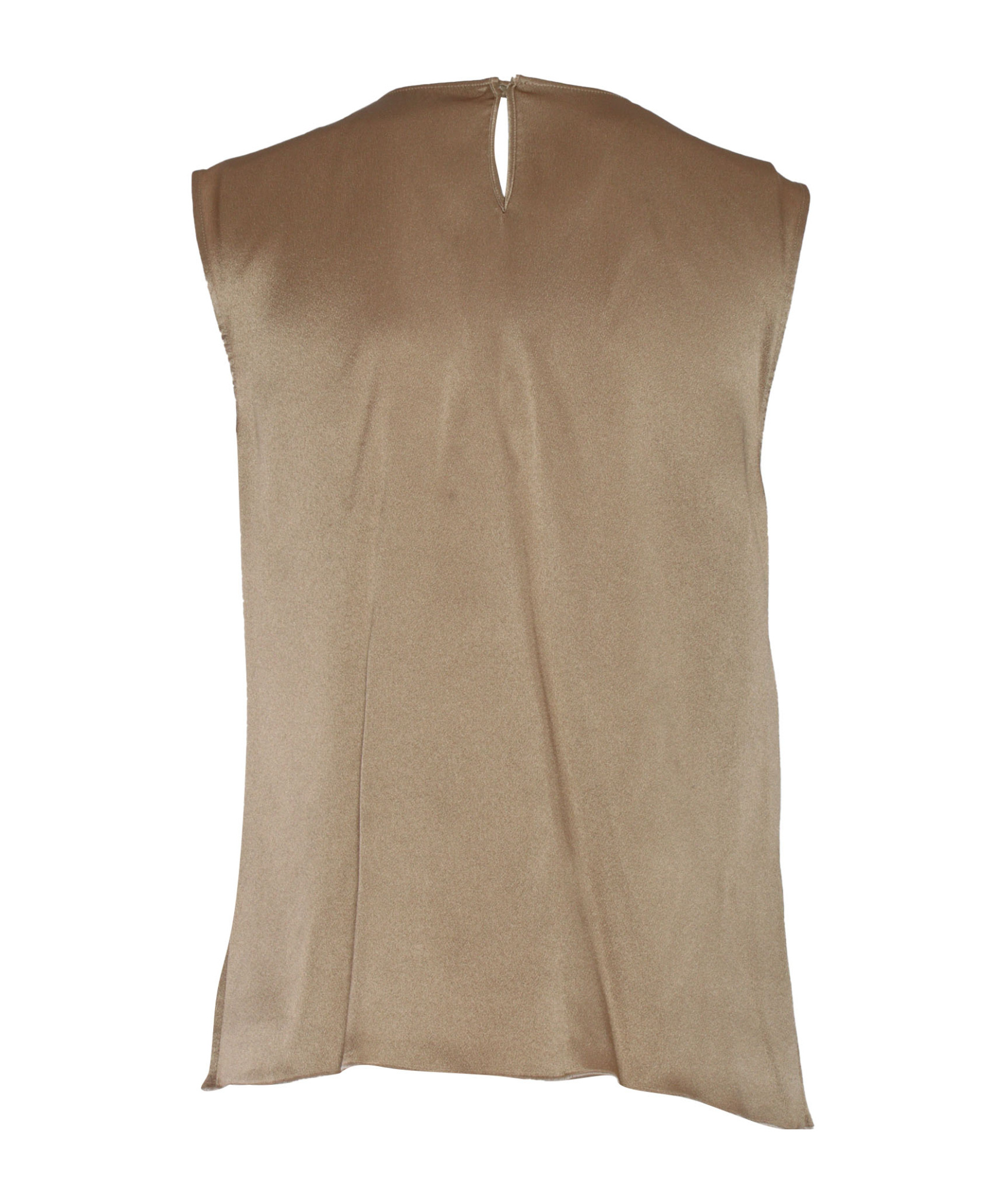 Alberta Ferretti Top In Brown