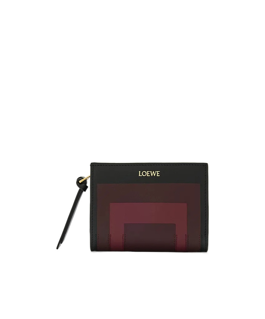 Loewe Compact Wallet In Multi