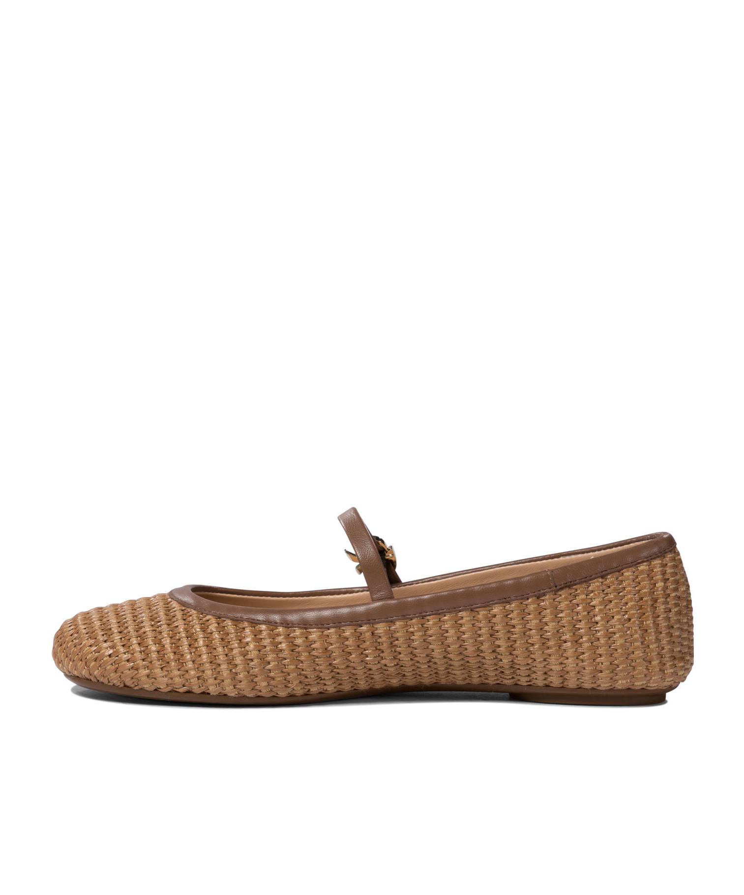 Gianvito Rossi Ballet Flats In Brown