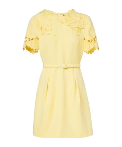 Leo Aurelie Belted Floral-appliqué Minidress In Yellow