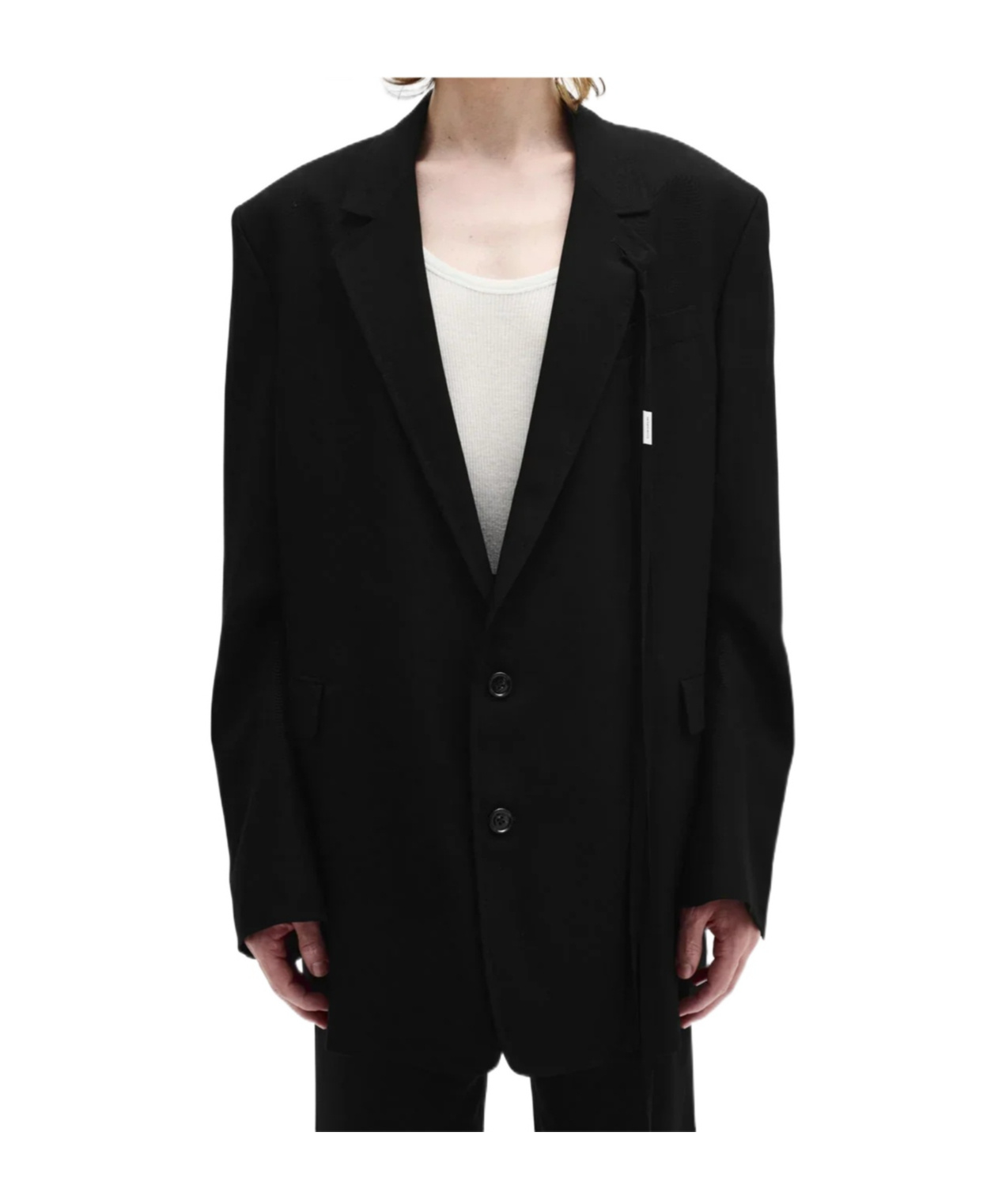 Ann Demeulemeester Anthoon Blazer In Black
