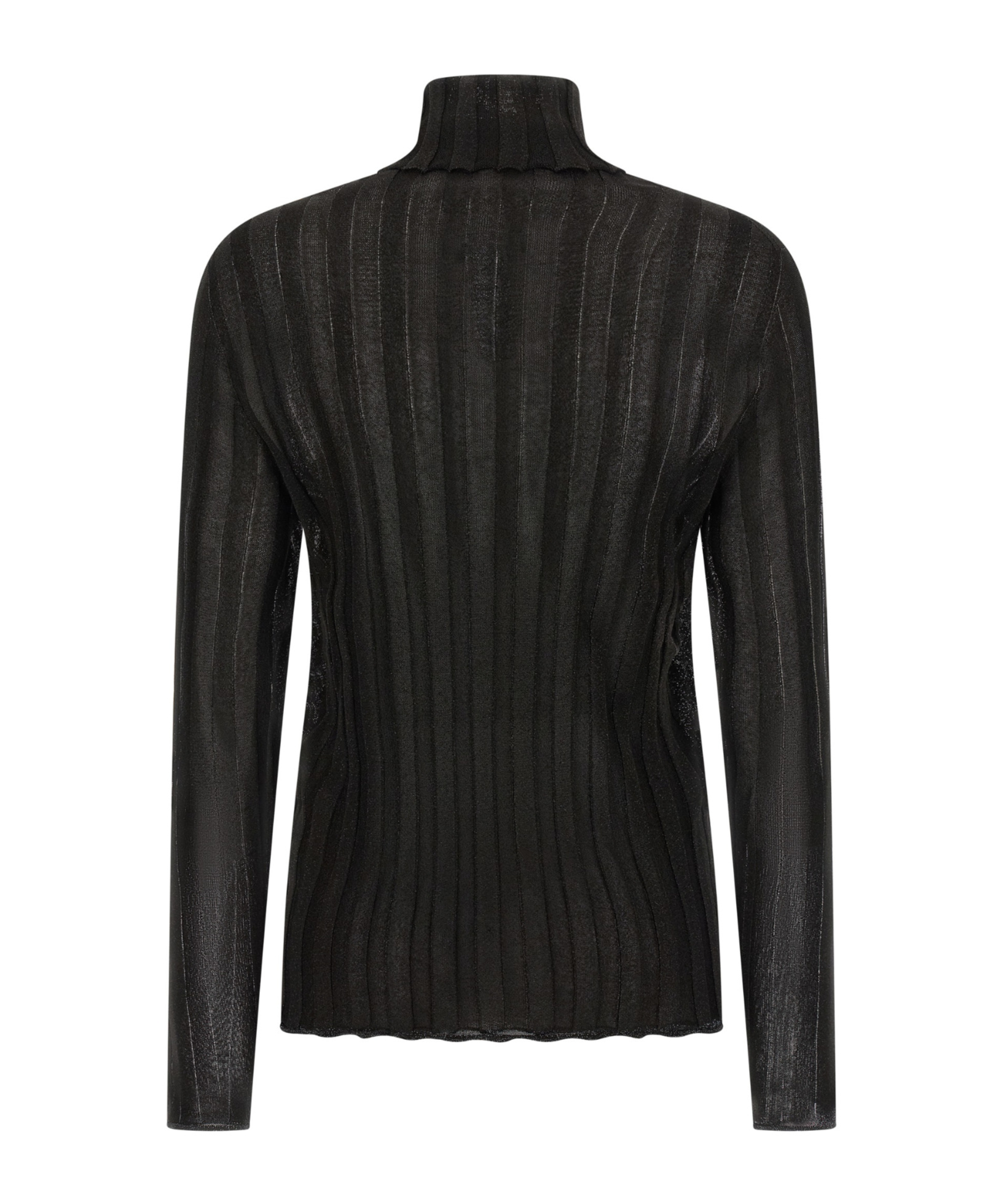 Fabiana Filippi Turtleneck Sweater With Ribbed Sheer Fabric In Black