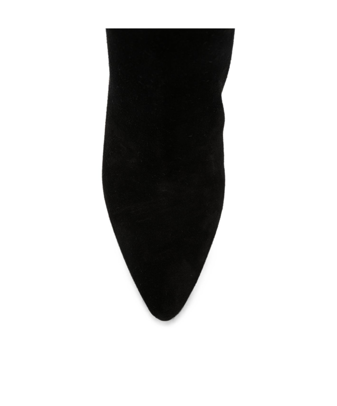 Paris Texas Mid-heel Ankle Boots In Black