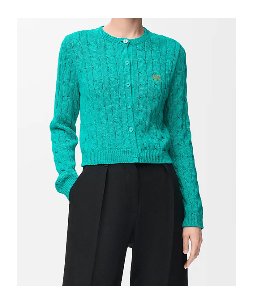 Loewe Long-sleeved Cardigan In Blue