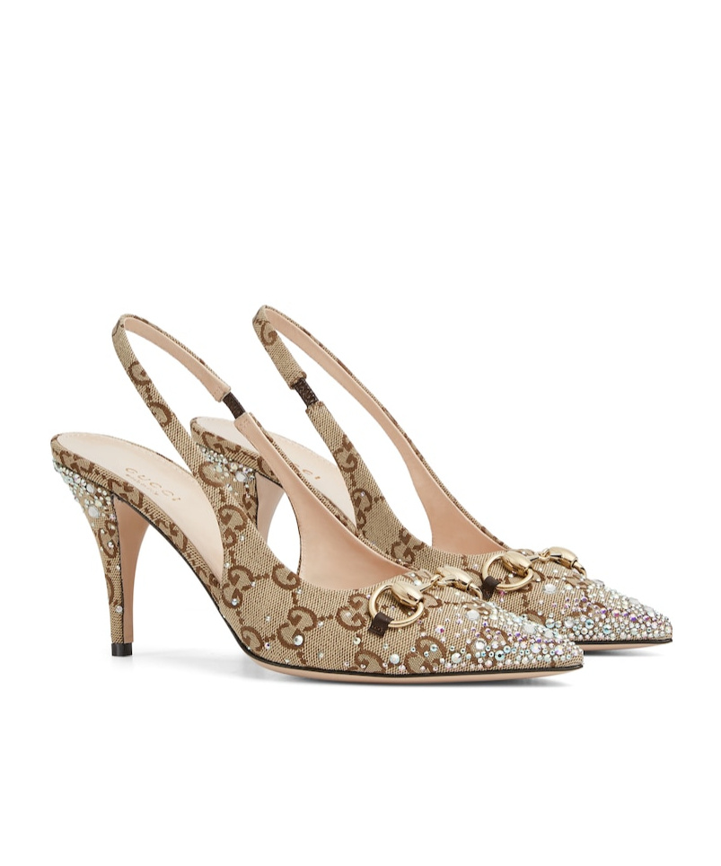 Shop Gucci Women's Horsebit Pump In Beige And Dark Brown