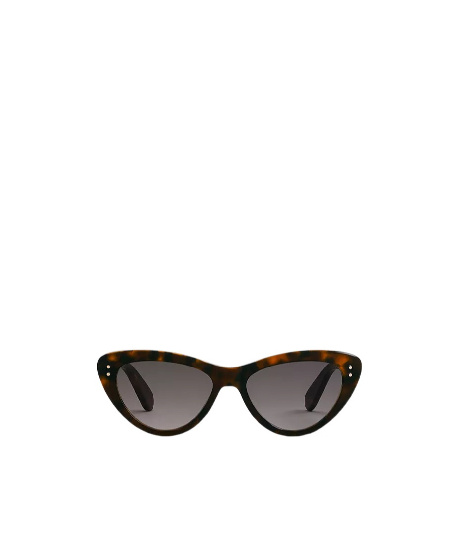 Dior Oblique B2i In Brown Hawksbill Turtle