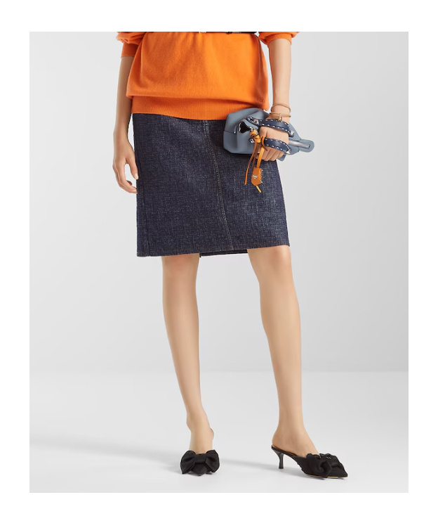 Fendi Ff Denim Skirt In Blue