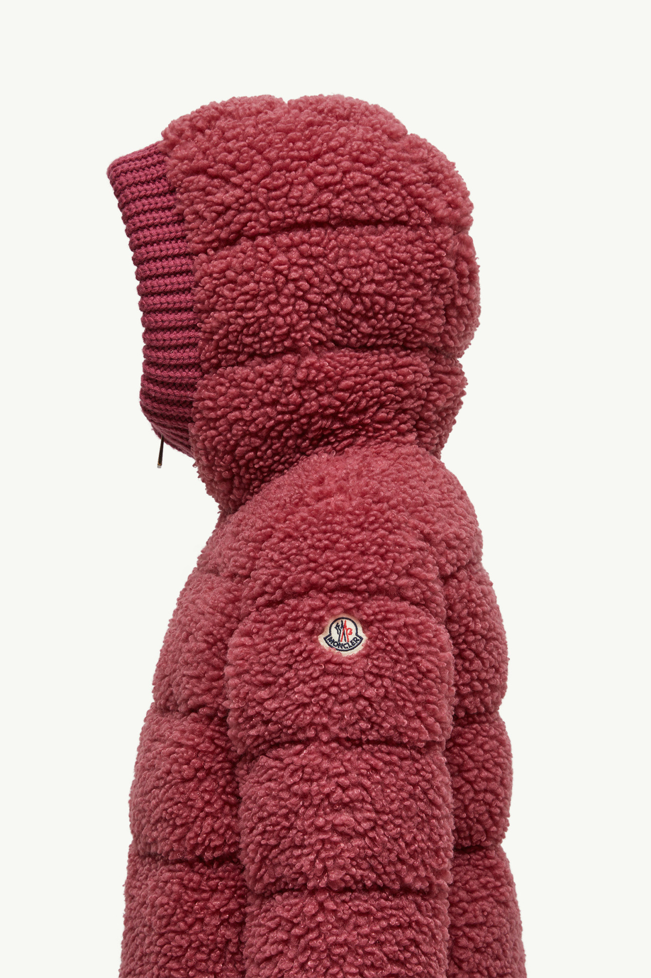 Moncler Adalbertas Teddy Hooded Down Jacket In Multi