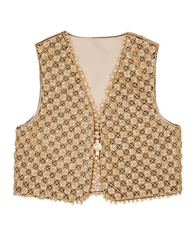 Roger Vivier Waistcoat In Velvet In Brown