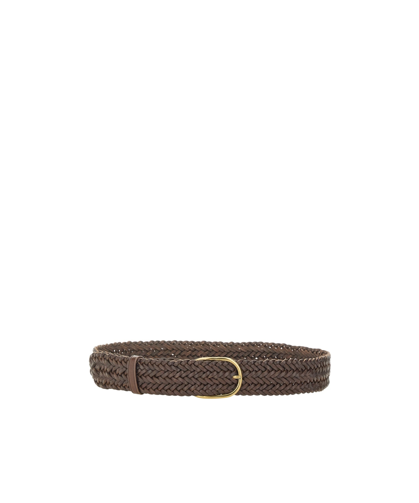 Dragon Diffusion Classic Woven Belt In Brown