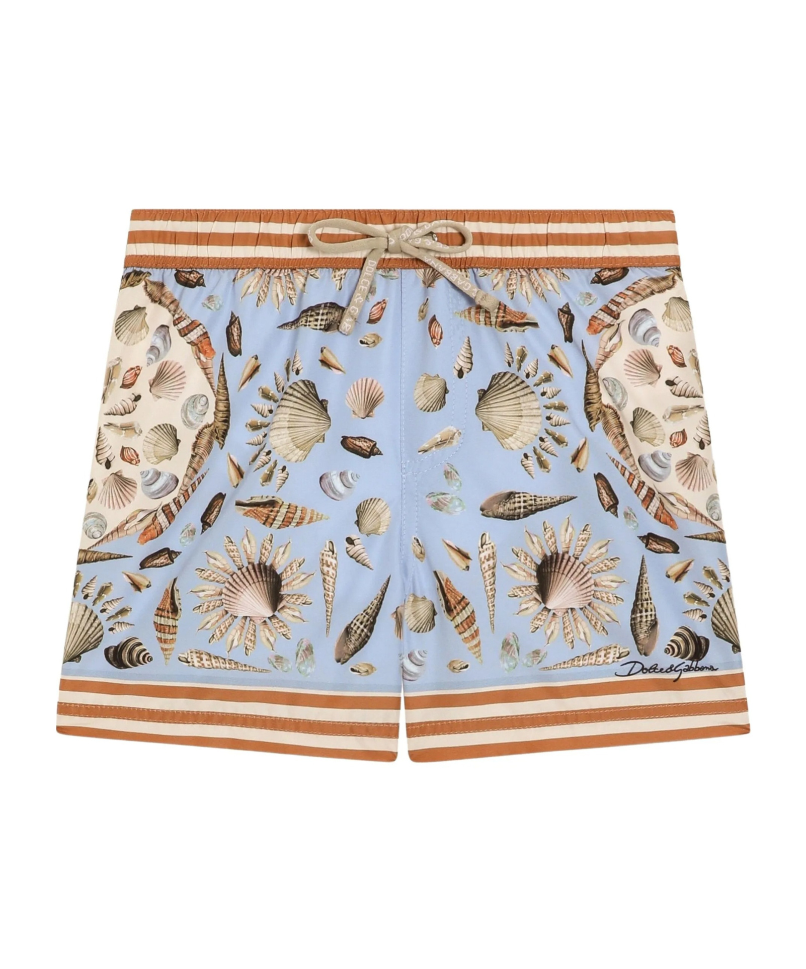 Dolce & Gabbana Shell-print Swim Shorts In Multi