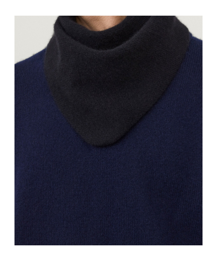 Lisa Yang Cashmere Triangular Scarf In Black