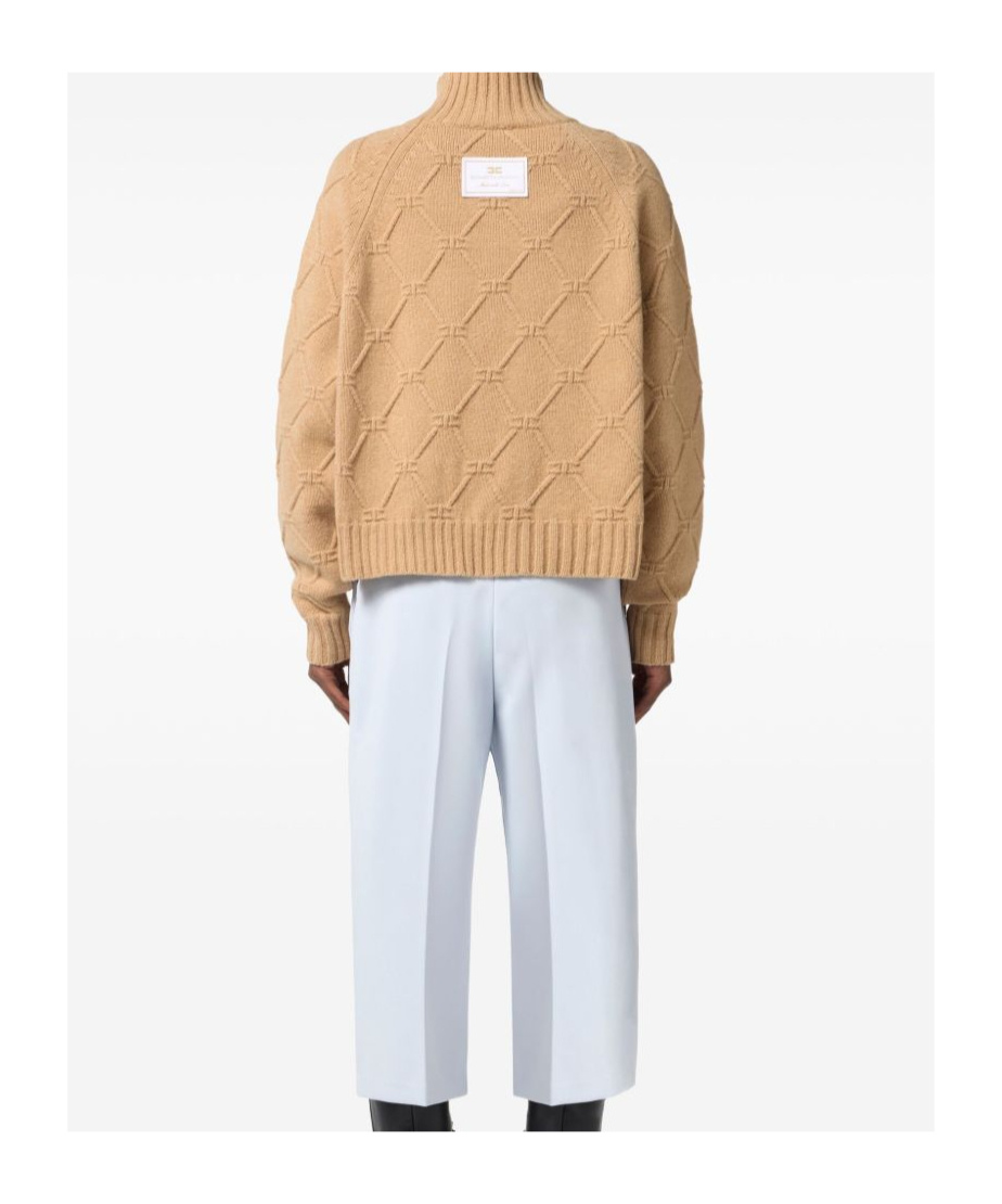 Elisabetta Franchi Diamond-pattern Turtleneck Sweater In Brown