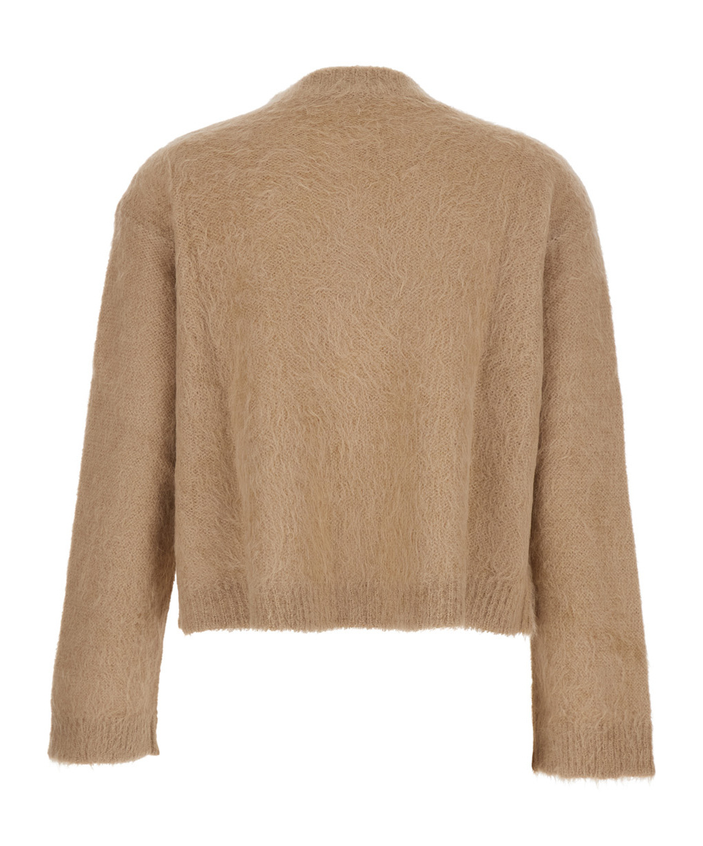 Antonelli Round-neck Long-sleeve Knitted Sweater In Animal Print
