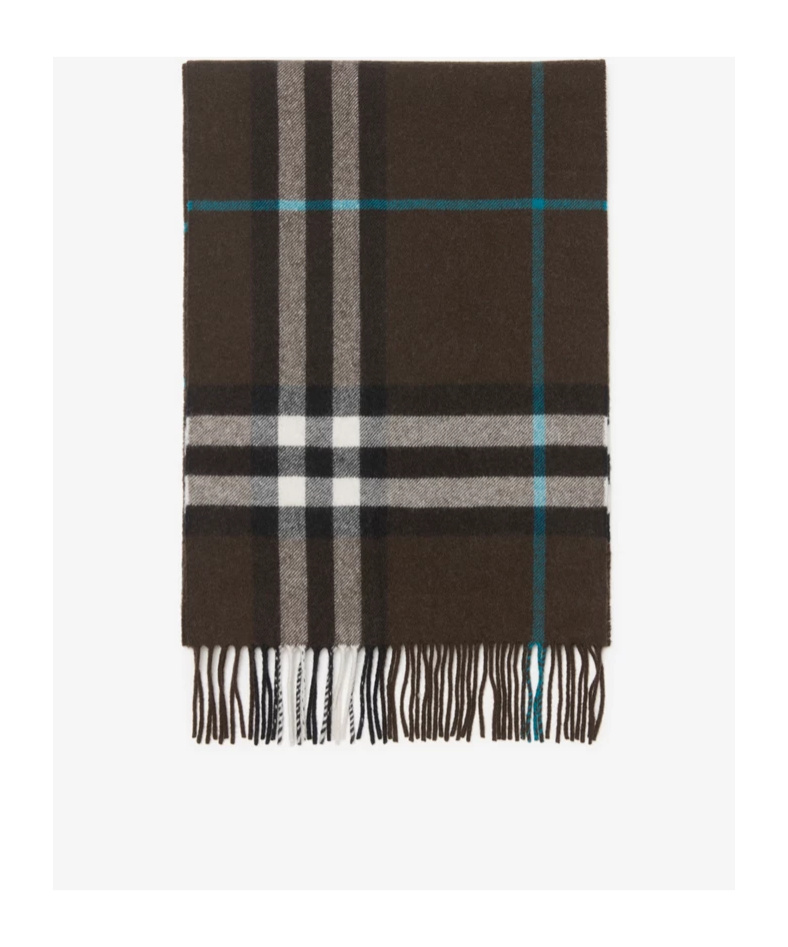 Burberry Checked Fringed Cashmere Scarf In Black
