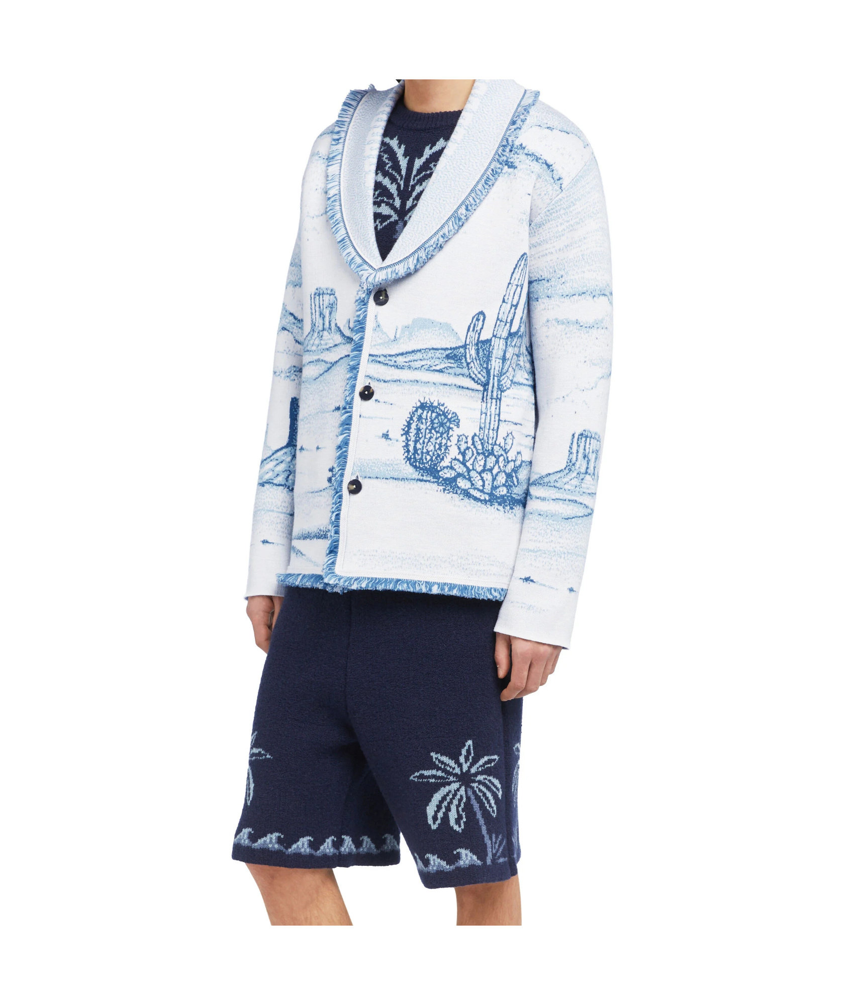 Alanui Silent Rider Landscape-intarsia Fringed Cardigan In Blue