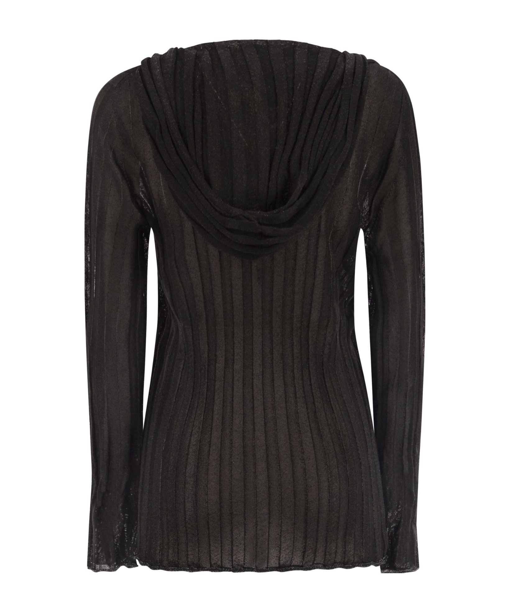 Fabiana Filippi Lurex Hooded Jumper In Brown