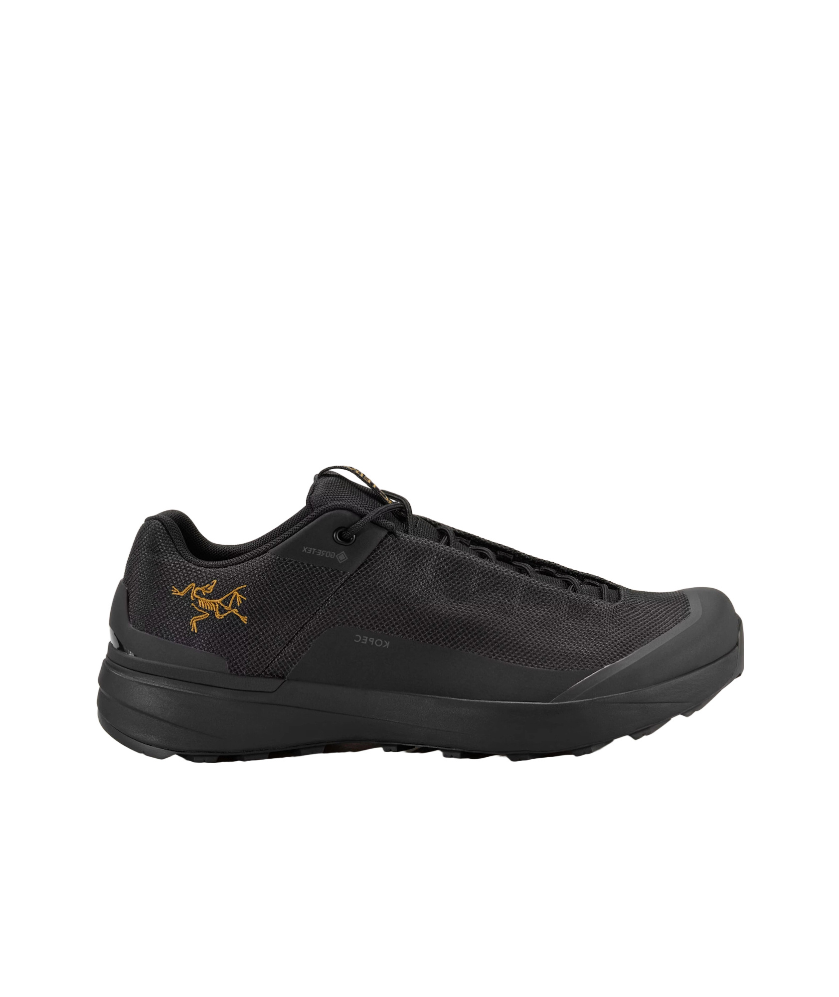 Arc'teryx Kopec Gtx Shoes Ladies In Multi