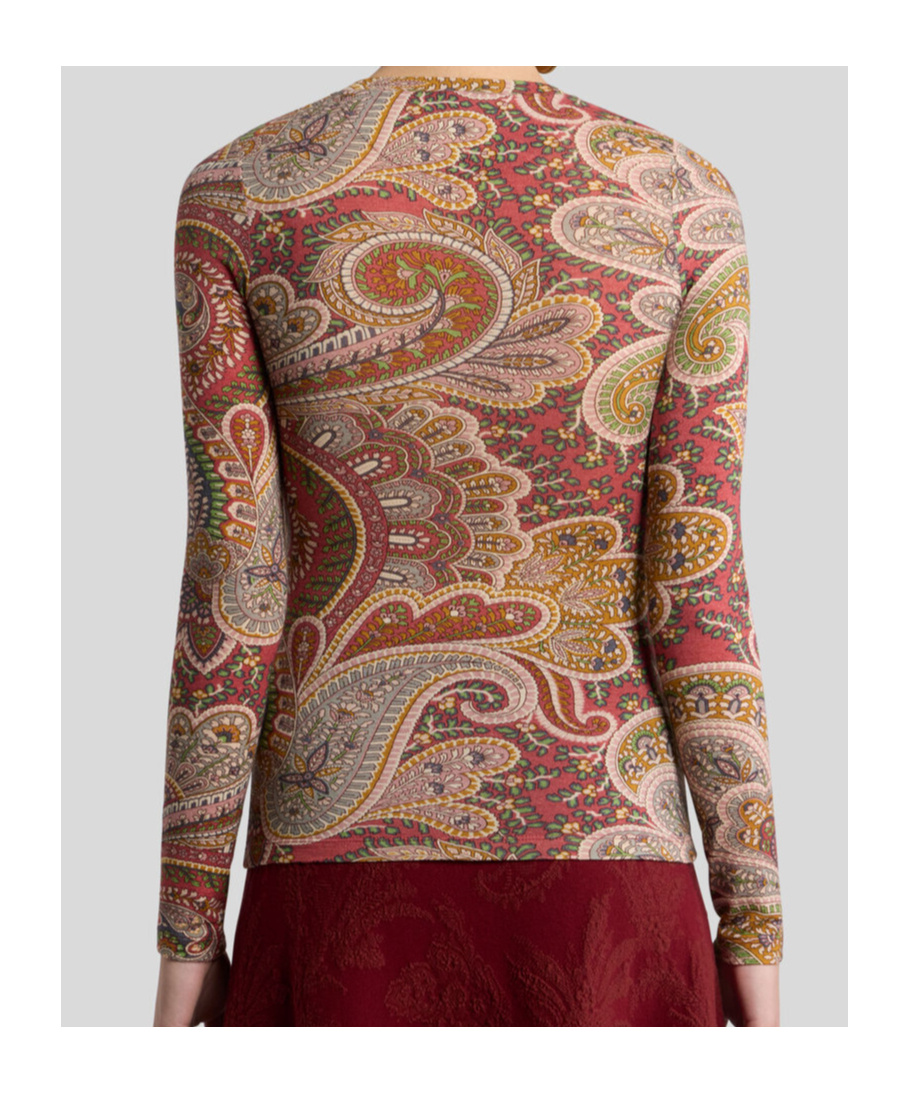 Etro Crew Neck Long-sleeved Top In Brown