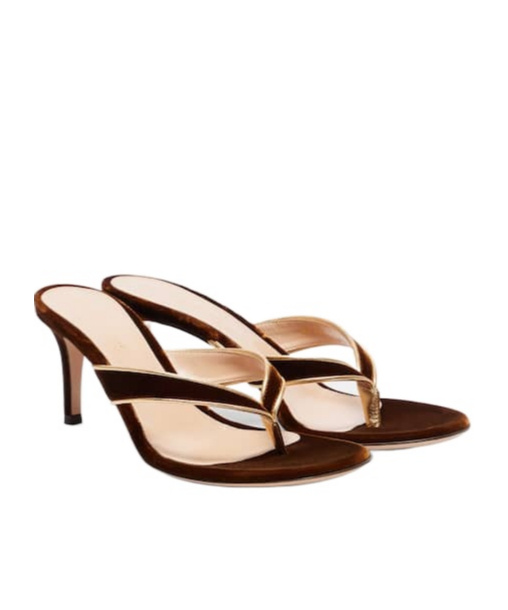 Gianvito Rossi Leather-trimmed Velvet Mules In Brown