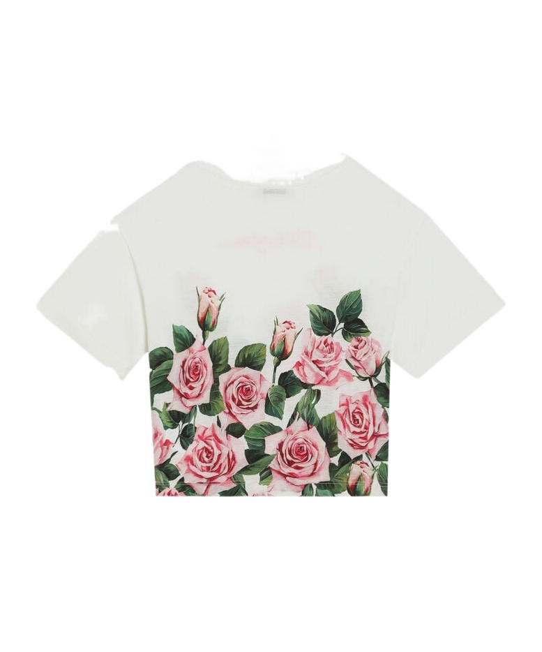 Dolce & Gabbana Rose-print T-shirt In White