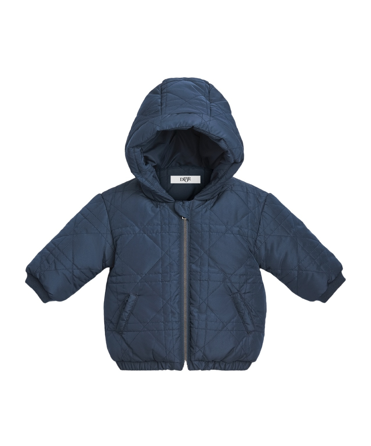 Dior Hooded Down Jacket In Blue