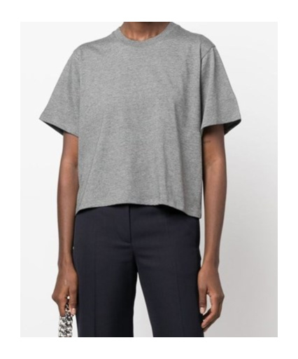 Loulou Studio Crew-neck Oversized T-shirt In Gray
