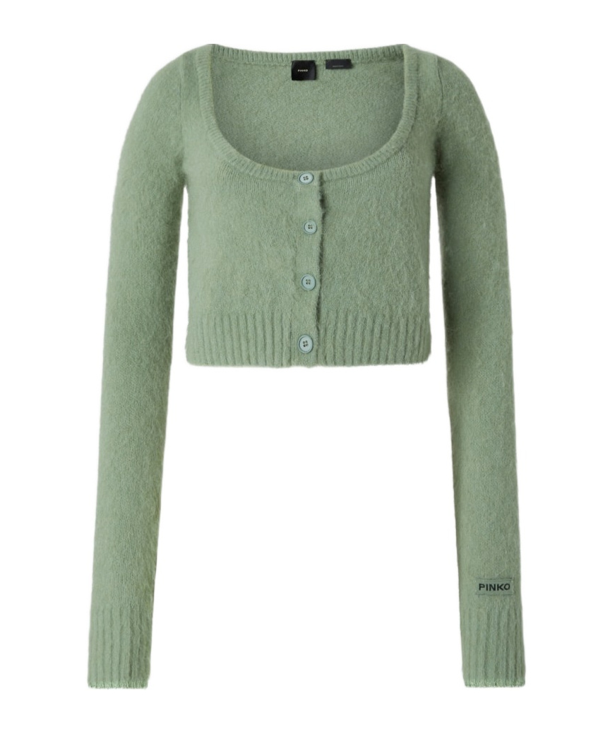 Shop Pinko Colorpoint Cardigan In Green