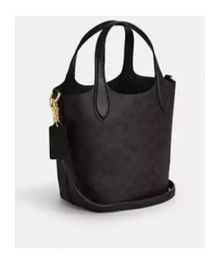Coach Hanna Bucket Bag Signature Canvas In Black