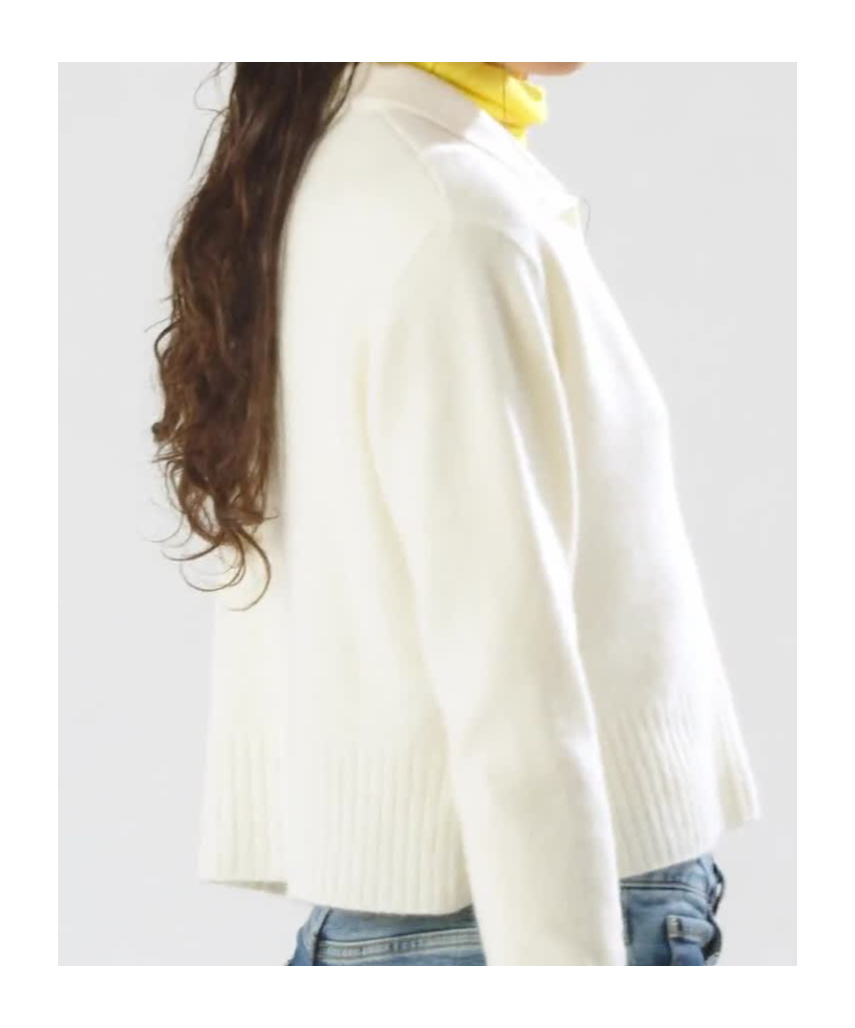 Pinko Short Cashmere-blend Sweater With Collar In White