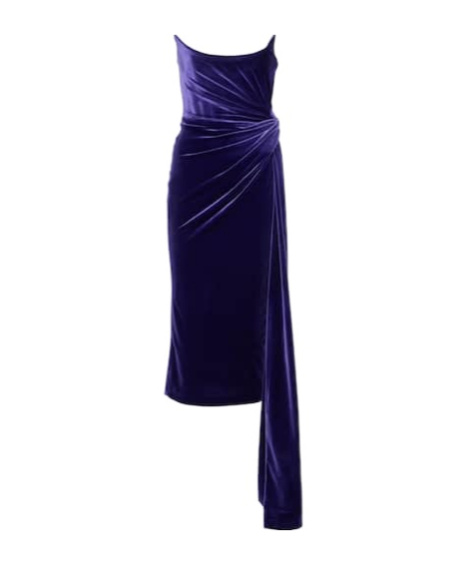 Alex Perry Draped Velvet Corset Gown In Blue
