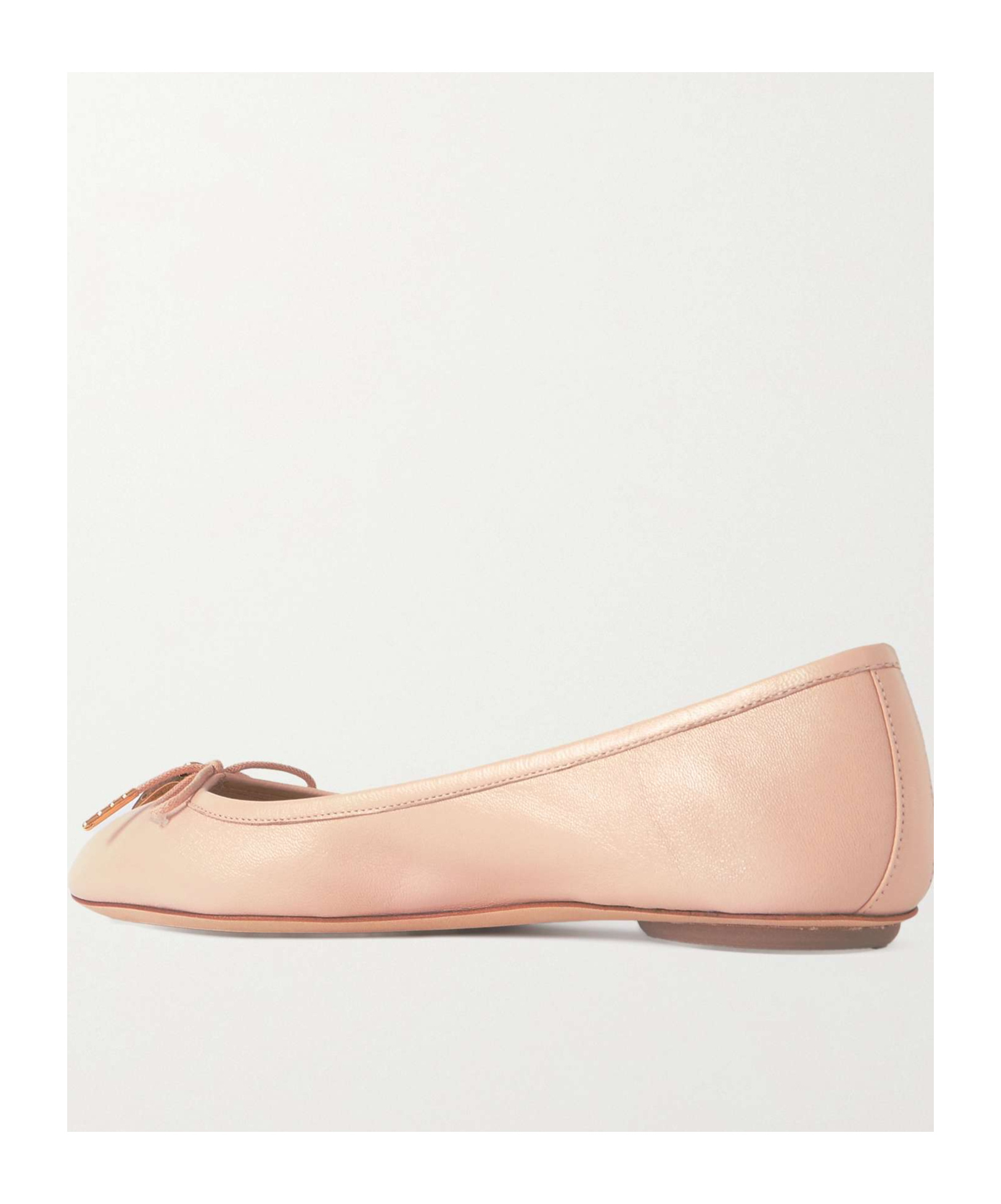 Chloé Iris Leather Ballerina Flats In Multi