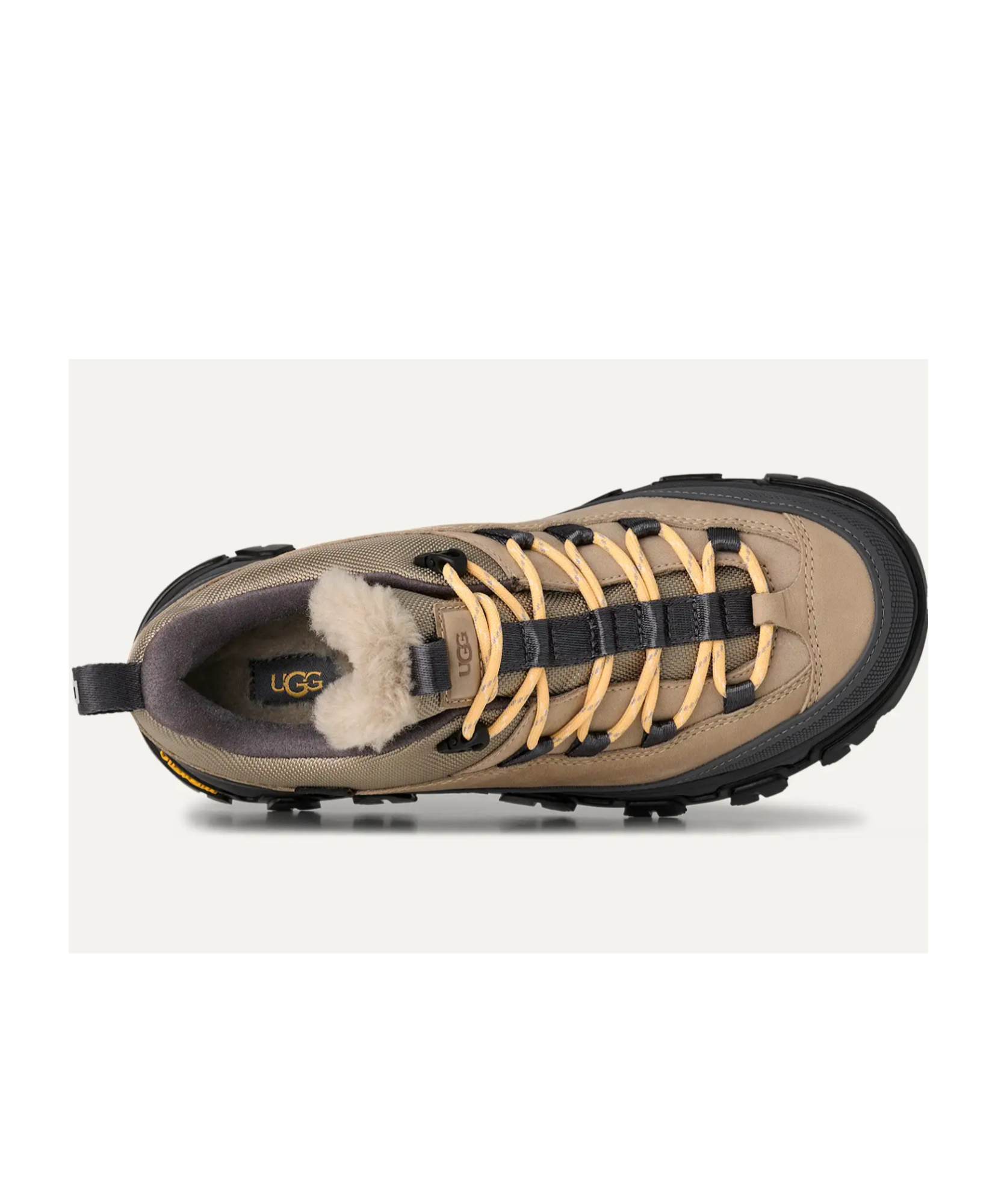 Ugg Lace-up Sneakers In Multi