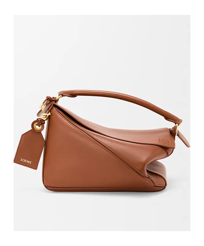 Loewe Zippered Shoulder Bag In Brown