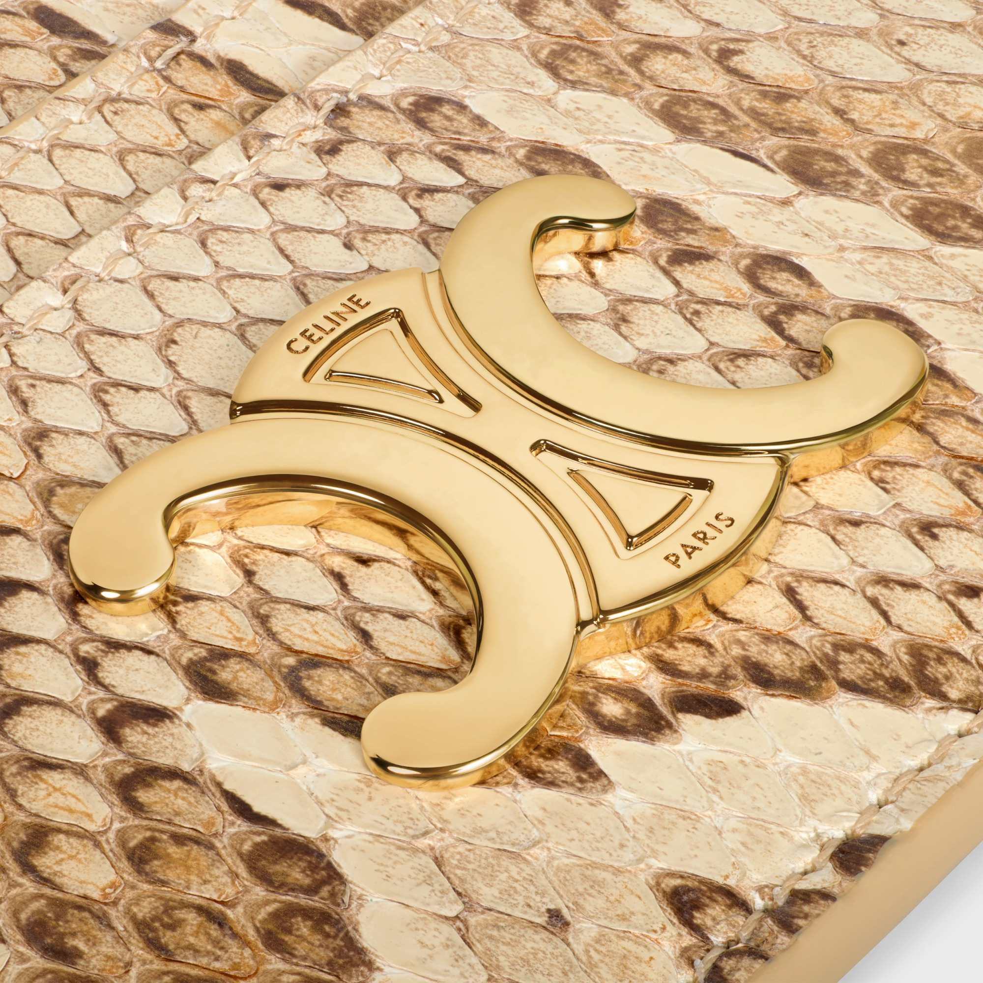 Celine Rectangular Card Bag In Nude