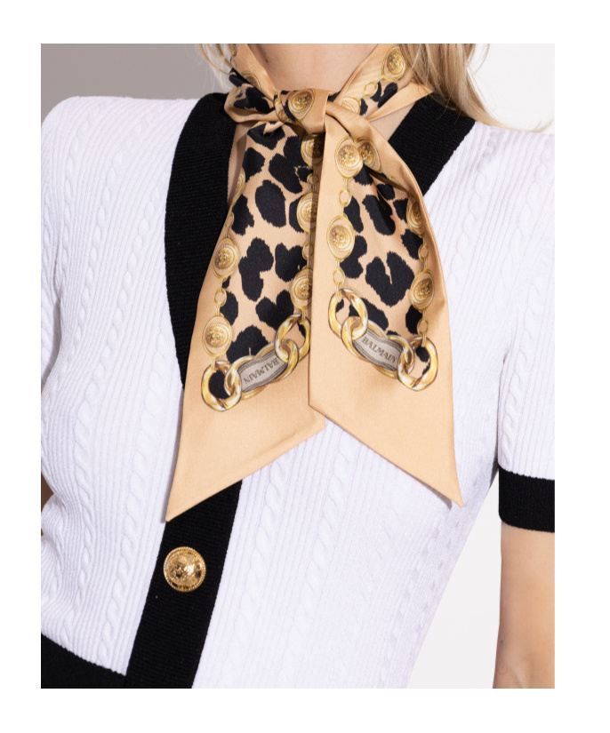 Balmain Leopard-print Silk Scarf In Neutral