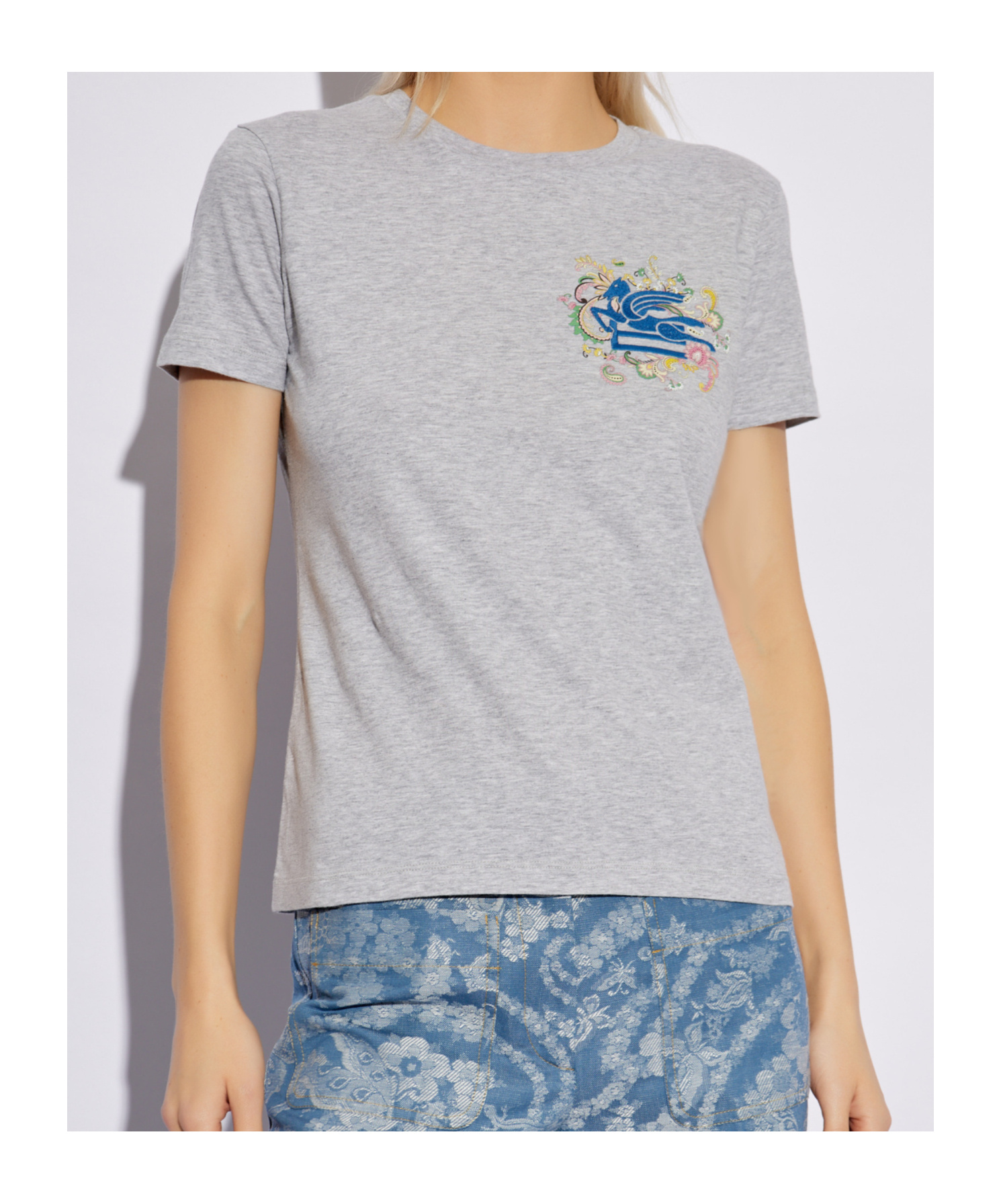 Etro Embroidered Cotton Graphic Print T-shirt In Gray