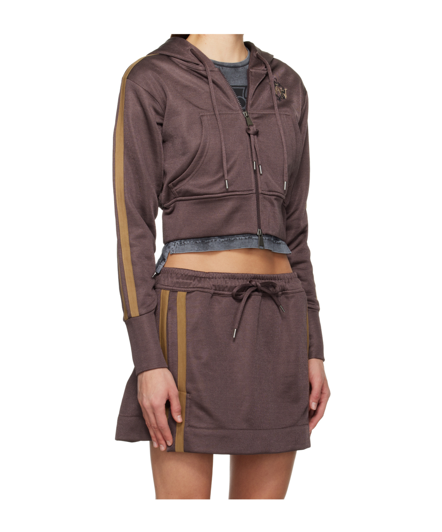 Vivienne Westwood Striped Leo Hoodie In Brown