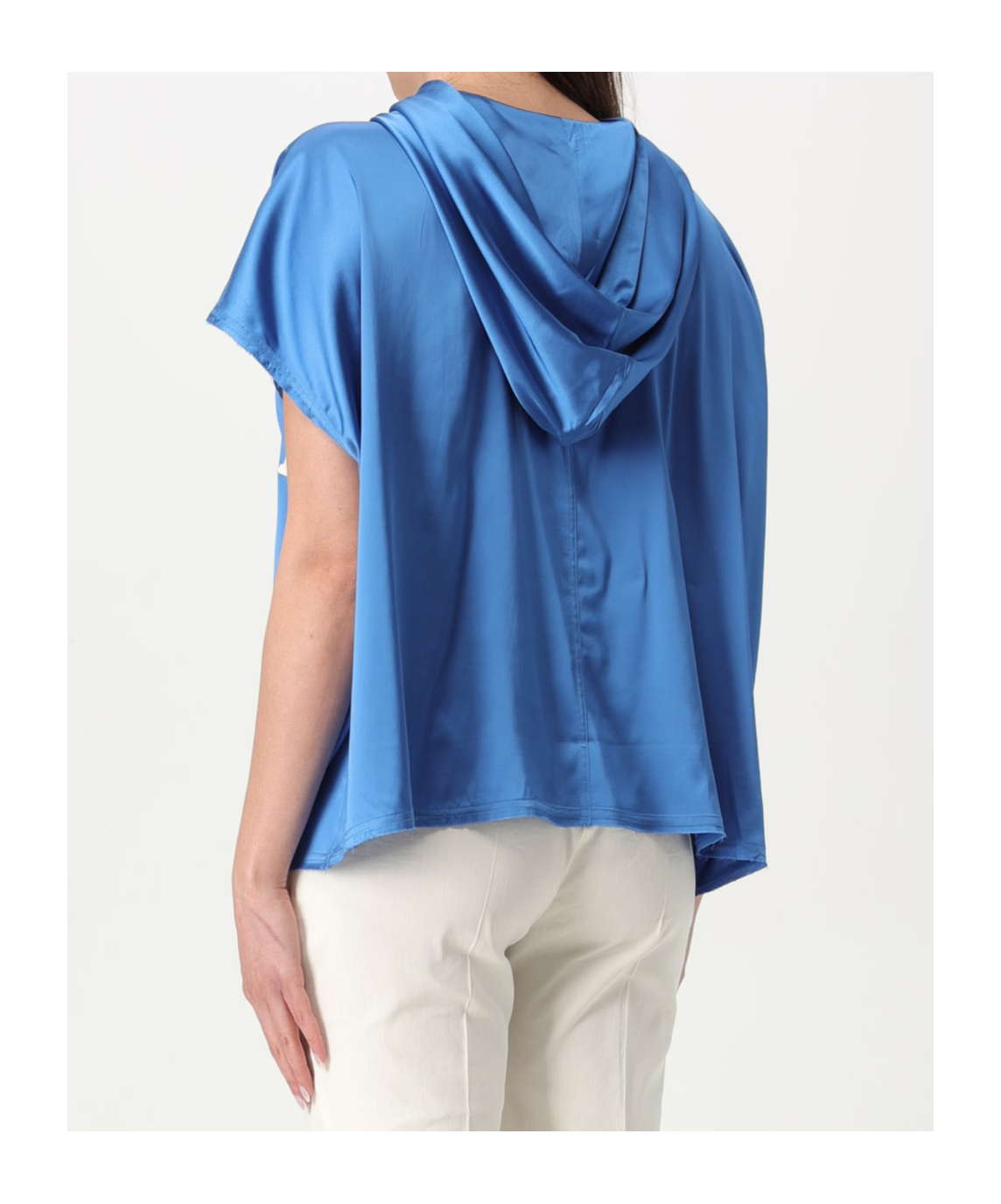 Pinko Hoodies In Blue