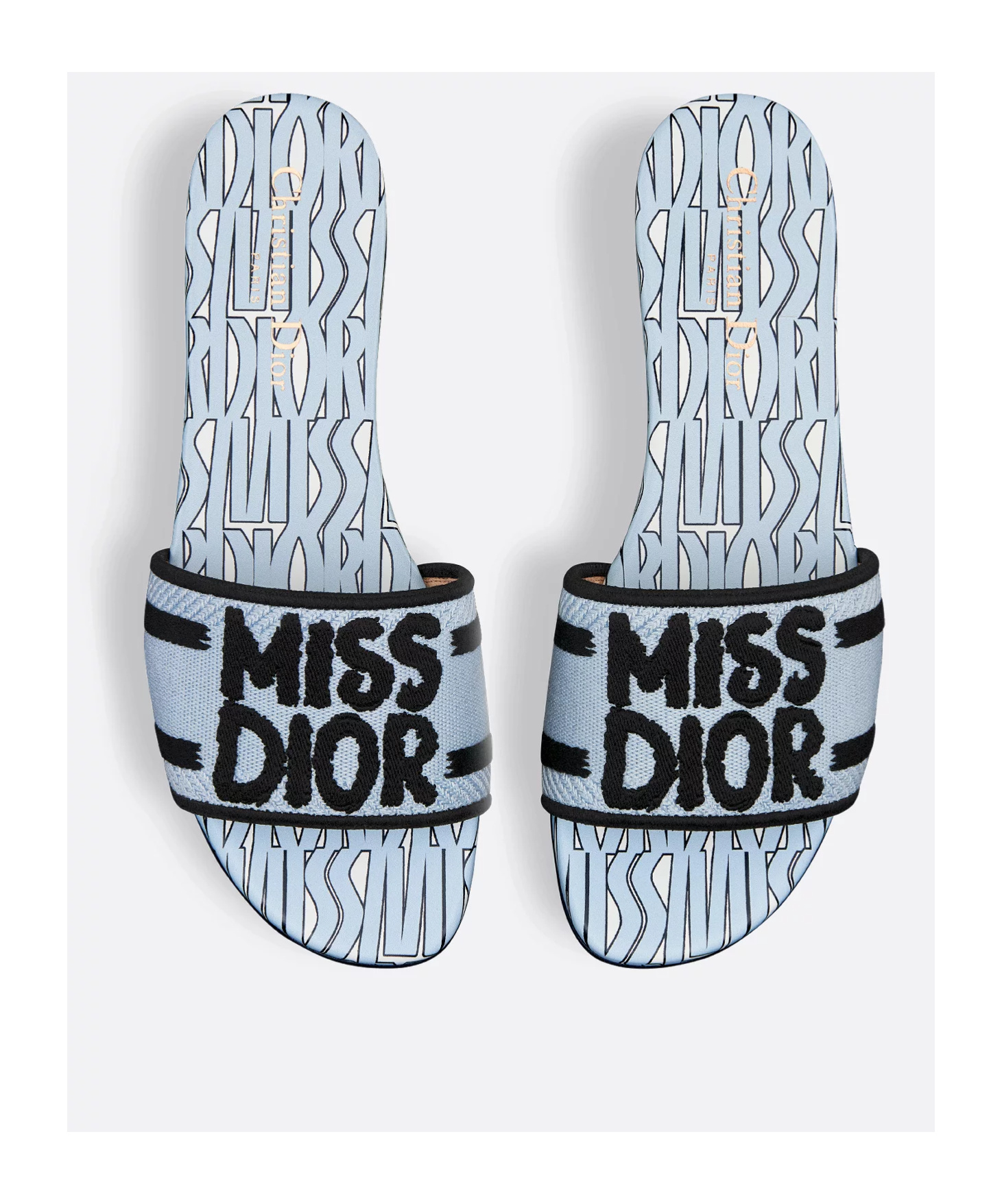 Dior Dway Slide In Multi