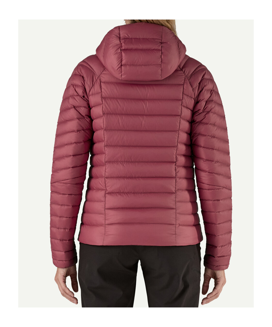 Patagonia Down Sweater Hoody In Marion Red